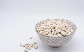 Protein Shakes Without Milk