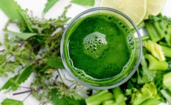 “Mexican milkshake made with fresh fruit, milk, and cinnamon”