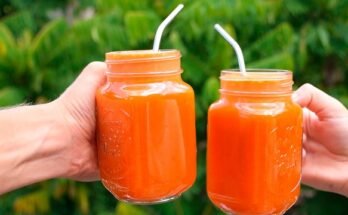 Muscle Milk Protein Shake Reviews