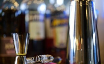 Shaker Dust Collectors