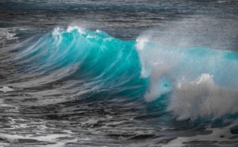 Shake-N-Go Breezy Wave