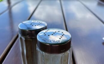 Shaker Dust Collectors