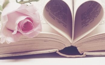 Is the Jocelyn Shaker Story Real